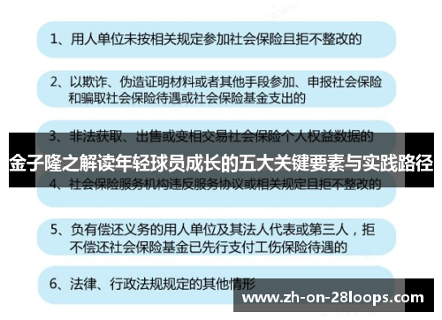 金子隆之解读年轻球员成长的五大关键要素与实践路径