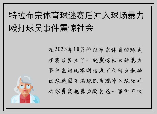 特拉布宗体育球迷赛后冲入球场暴力殴打球员事件震惊社会 特拉布宗体育球迷赛后冲入球场暴力殴打球员事件震惊社会